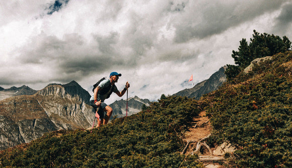 Howard Dracup - Swiss Peaks LEGEND