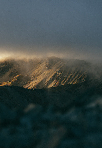 Know What You're Buying